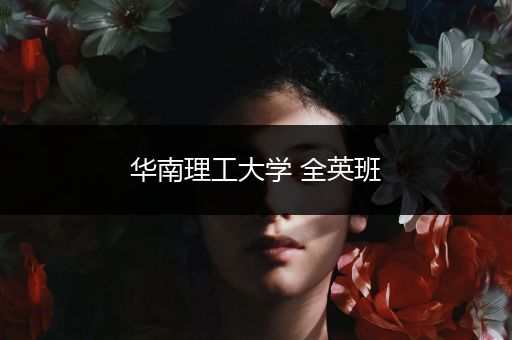 华南理工大学 全英班
