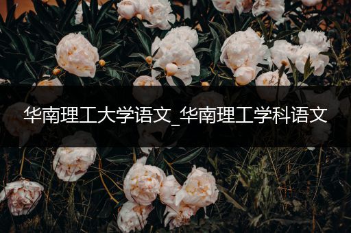 华南理工大学语文_华南理工学科语文