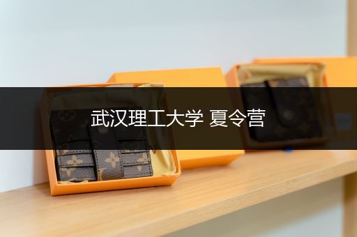 武汉理工大学 夏令营