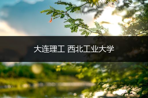 大连理工 西北工业大学