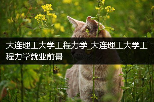 大连理工大学工程力学_大连理工大学工程力学就业前景