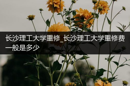 长沙理工大学重修_长沙理工大学重修费一般是多少