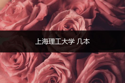 上海理工大学 几本