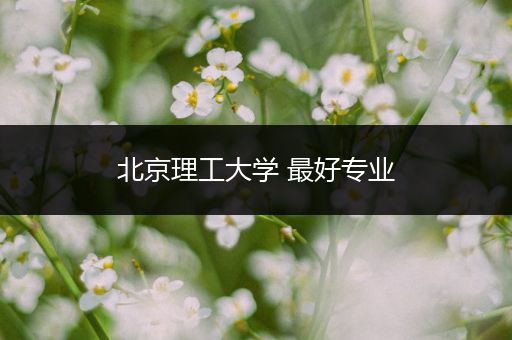 北京理工大学 最好专业