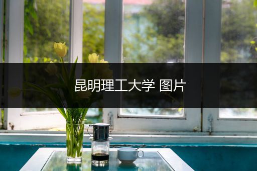 昆明理工大学 图片