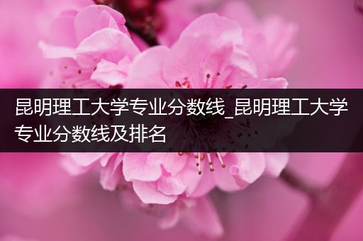 昆明理工大学专业分数线_昆明理工大学专业分数线及排名