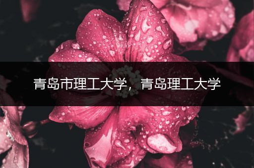 青岛市理工大学，青岛理工大学