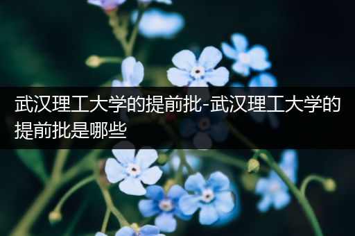 武汉理工大学的提前批-武汉理工大学的提前批是哪些