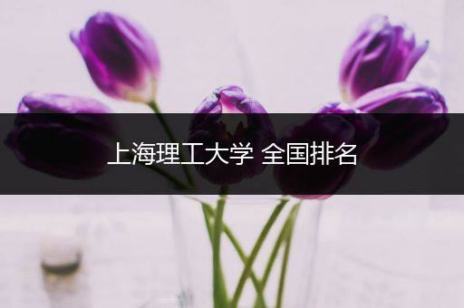 上海理工大学 全国排名