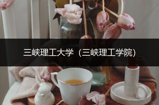 三峡理工大学（三峡理工学院）