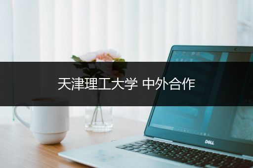 天津理工大学 中外合作