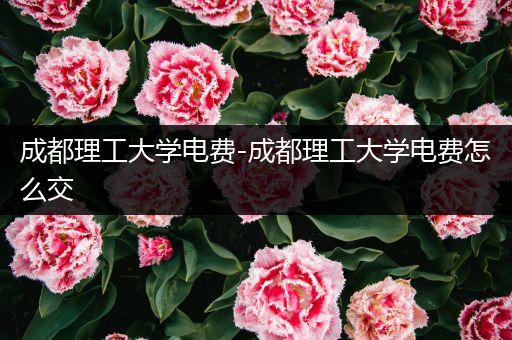 成都理工大学电费-成都理工大学电费怎么交