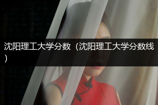 沈阳理工大学分数（沈阳理工大学分数线）