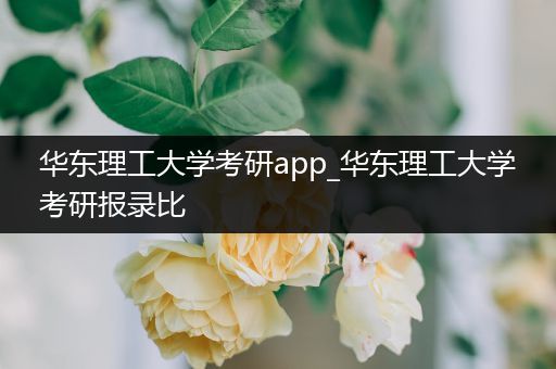 华东理工大学考研app_华东理工大学考研报录比