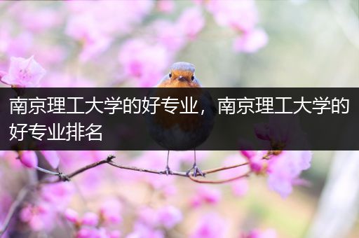南京理工大学的好专业，南京理工大学的好专业排名