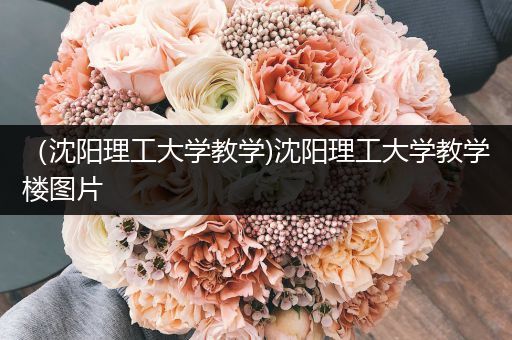 （沈阳理工大学教学)沈阳理工大学教学楼图片