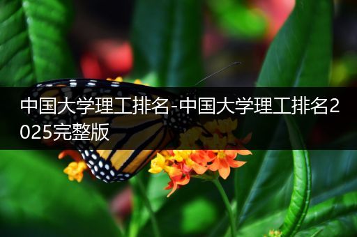 中国大学理工排名-中国大学理工排名2025完整版