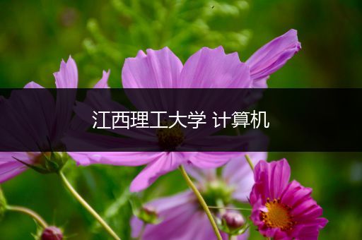 江西理工大学 计算机