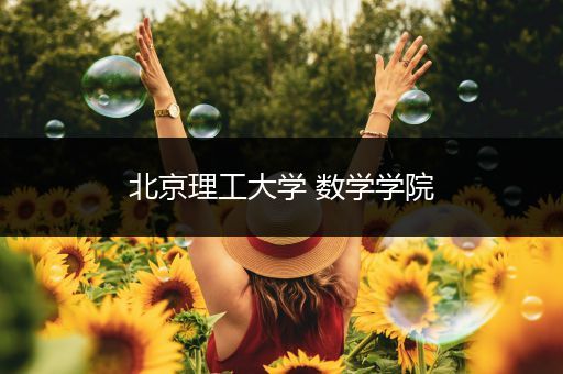 北京理工大学 数学学院