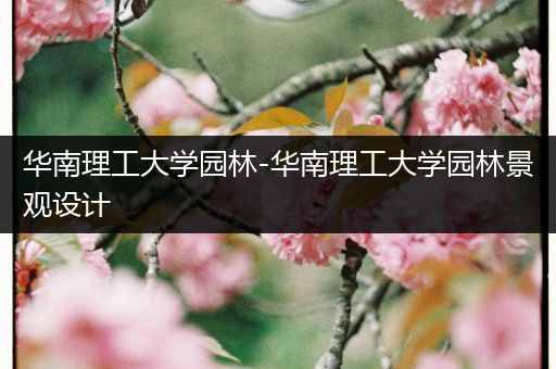 华南理工大学园林-华南理工大学园林景观设计