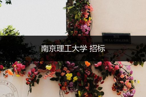 南京理工大学 招标