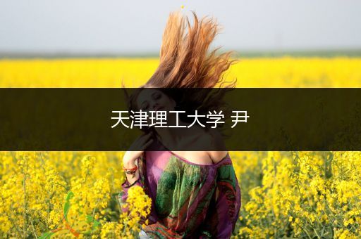 天津理工大学 尹