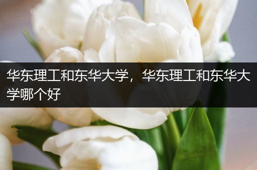 华东理工和东华大学，华东理工和东华大学哪个好