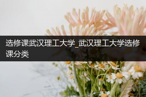 选修课武汉理工大学_武汉理工大学选修课分类