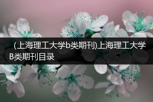 （上海理工大学b类期刊)上海理工大学B类期刊目录