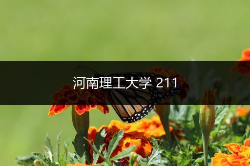 河南理工大学 211