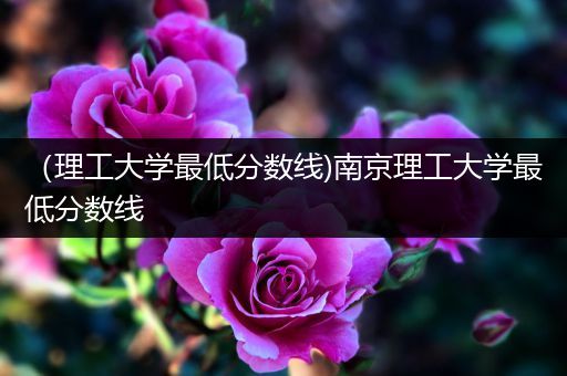 （理工大学最低分数线)南京理工大学最低分数线
