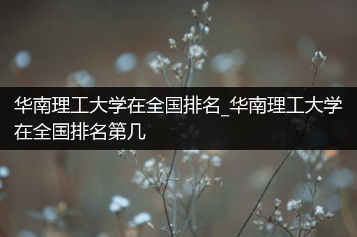 华南理工大学在全国排名_华南理工大学在全国排名第几
