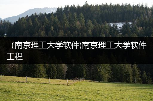 （南京理工大学软件)南京理工大学软件工程