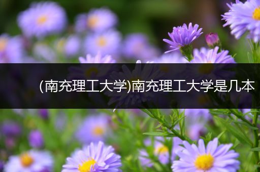 （南充理工大学)南充理工大学是几本