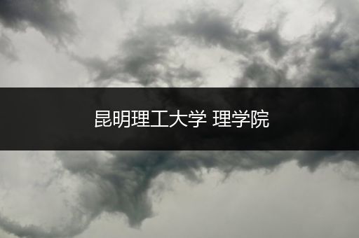 昆明理工大学 理学院