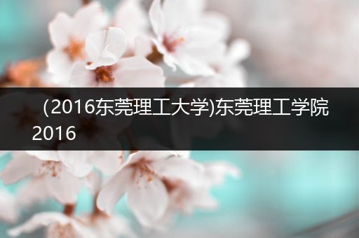 （2016东莞理工大学)东莞理工学院2016