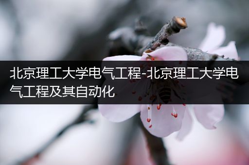 北京理工大学电气工程-北京理工大学电气工程及其自动化