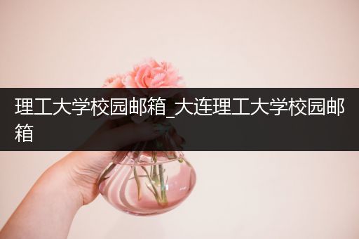 理工大学校园邮箱_大连理工大学校园邮箱