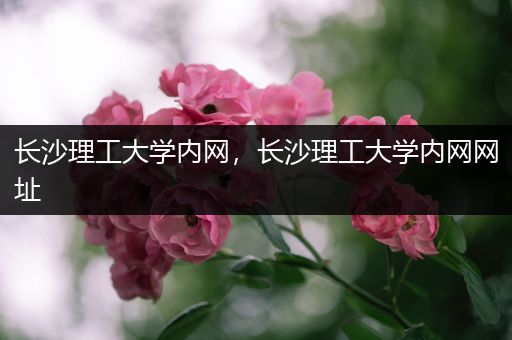 长沙理工大学内网，长沙理工大学内网网址