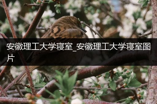 安徽理工大学寝室_安徽理工大学寝室图片