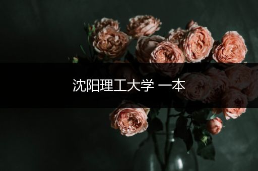 沈阳理工大学 一本