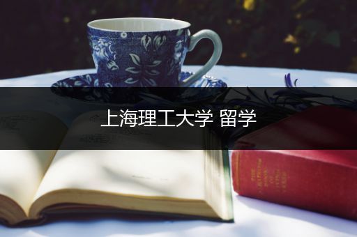 上海理工大学 留学