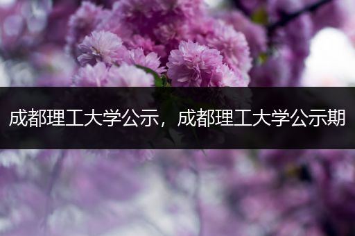 成都理工大学公示，成都理工大学公示期