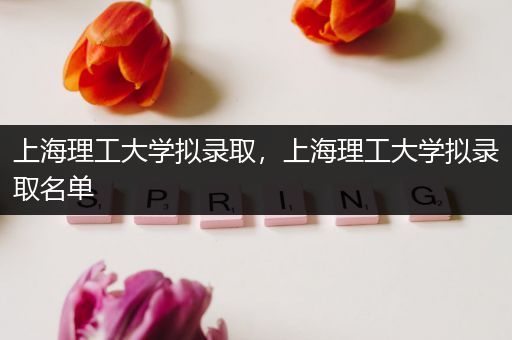 上海理工大学拟录取，上海理工大学拟录取名单