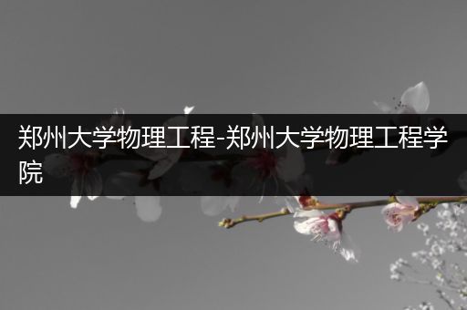 郑州大学物理工程-郑州大学物理工程学院