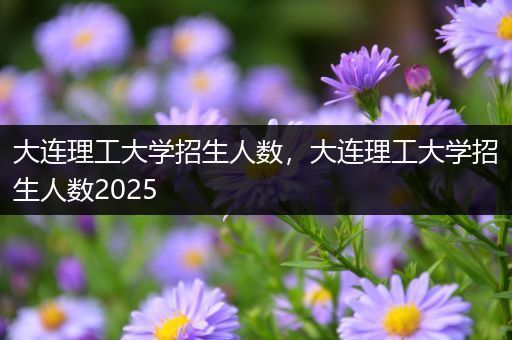 大连理工大学招生人数，大连理工大学招生人数2025