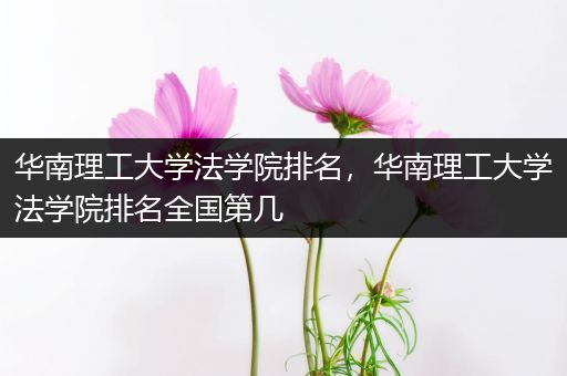 华南理工大学法学院排名，华南理工大学法学院排名全国第几