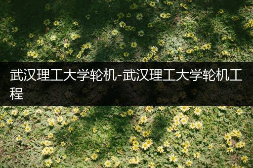 武汉理工大学轮机-武汉理工大学轮机工程