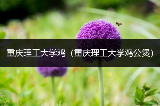 重庆理工大学鸡（重庆理工大学鸡公煲）