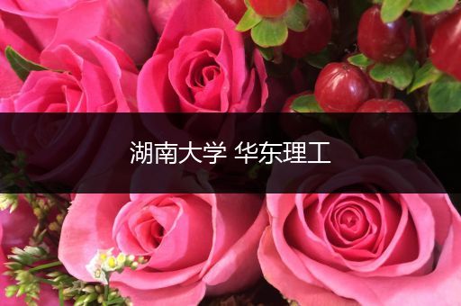 湖南大学 华东理工